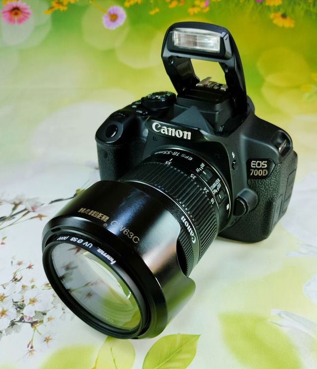 Canon Eos 700D Reflex 0111