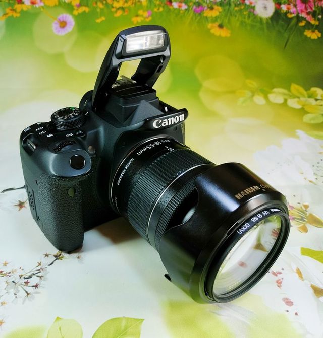 Canon Eos 700D Reflex 0111