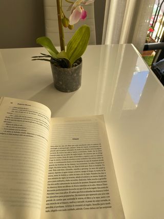 Perdona pero quiero casarme contigo (Spanish Ed...