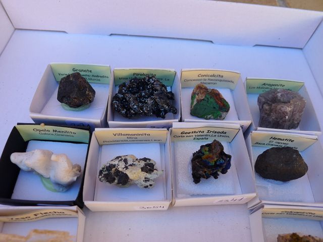 Collezione di 10 minerali 4x4 cm