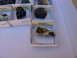 Collezione di 10 minerali 4x4 cm