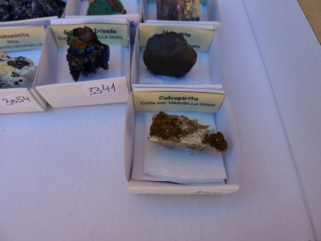 Collezione di 10 minerali 4x4 cm