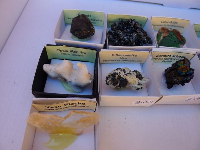 Collezione di 10 minerali 4x4 cm