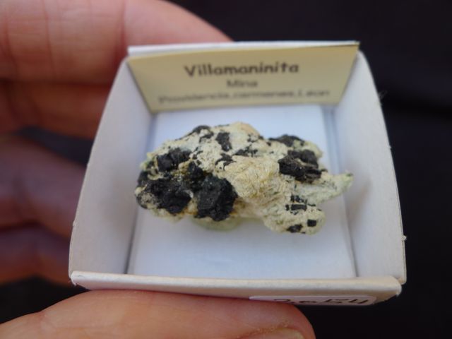 Collezione di 10 minerali 4x4 cm