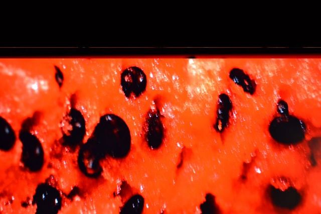 Nikon D3100 DSLR 2601