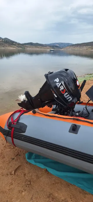 Motor Parsun 15 CV Inyección