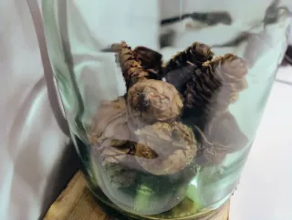 Lampada JP Chenet Vetro Verde