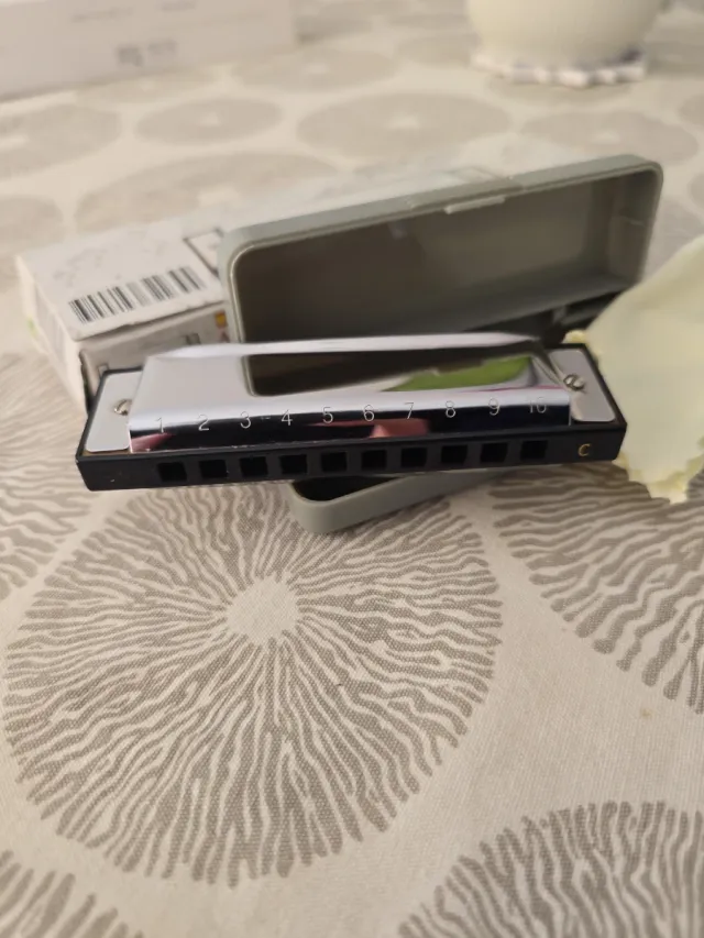 Armonica C - Include custodia e panno