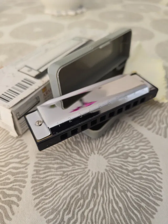 Armonica C - Include custodia e panno