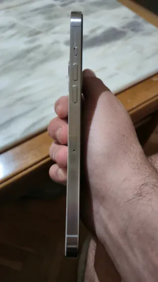 iPhone 12 Pro Max Plata