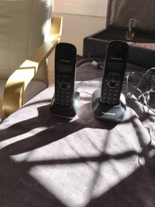 Teléfono fijo Panasonic dual