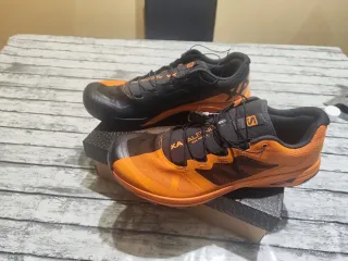 Zapatillas Salomon Trail X Alpine pro