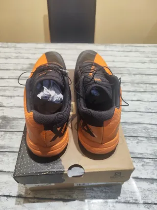 Zapatillas Salomon Trail X Alpine pro