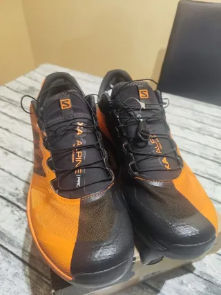 Zapatillas Salomon Trail X Alpine pro