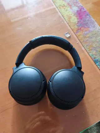 Auriculares Panasonic RB-M800B Negros