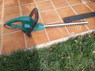 Tagliasiepi elettrico