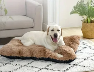 125 x 85cm-Cojín para Perro Suave y Cómodo