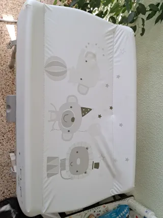 Bañera Cambiador Flip Jané