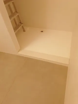 Reformas paleta con experiencia.