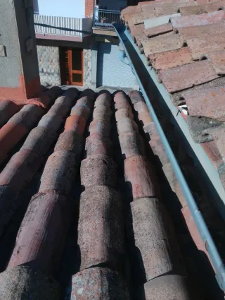 Reformas paleta con experiencia.