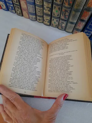 Grandes Genios de la Literatura