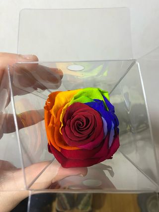 Rosa preservada arcoíris en caja
