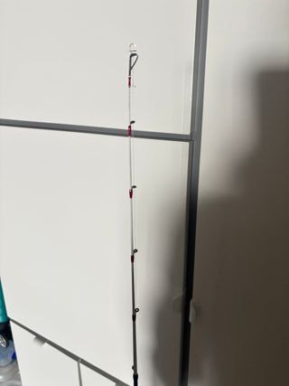 Caña de spining y calamares de fibra de carbono