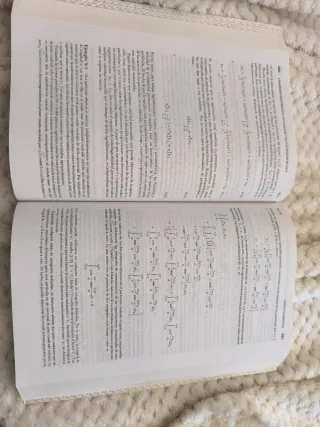 Fisica cuantica/ Quantum Physics (Spanish Edition)