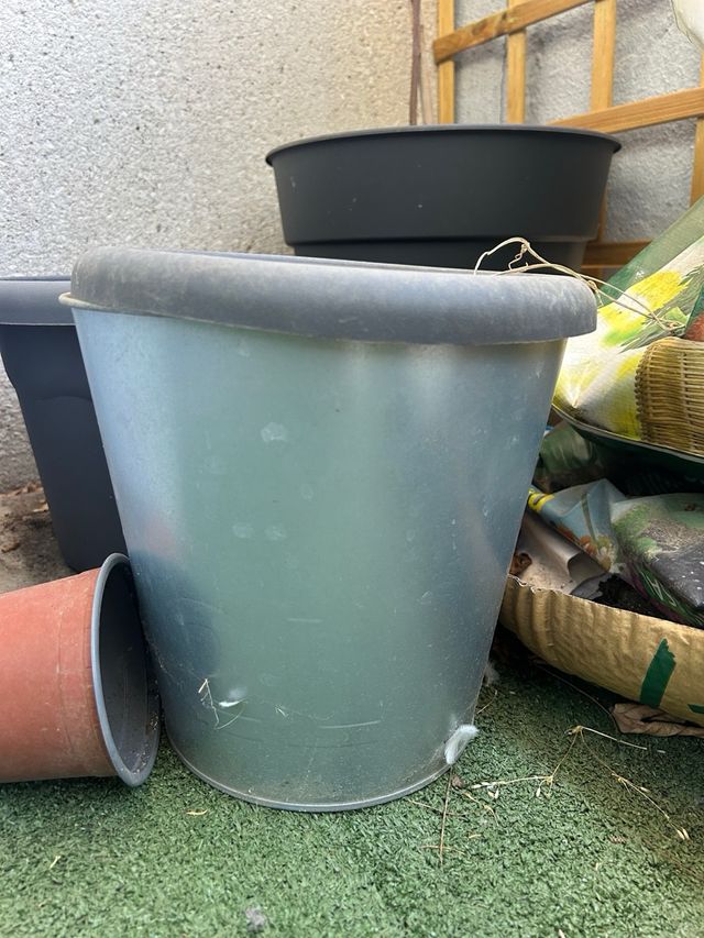 Lote de macetas + soporte planta alta