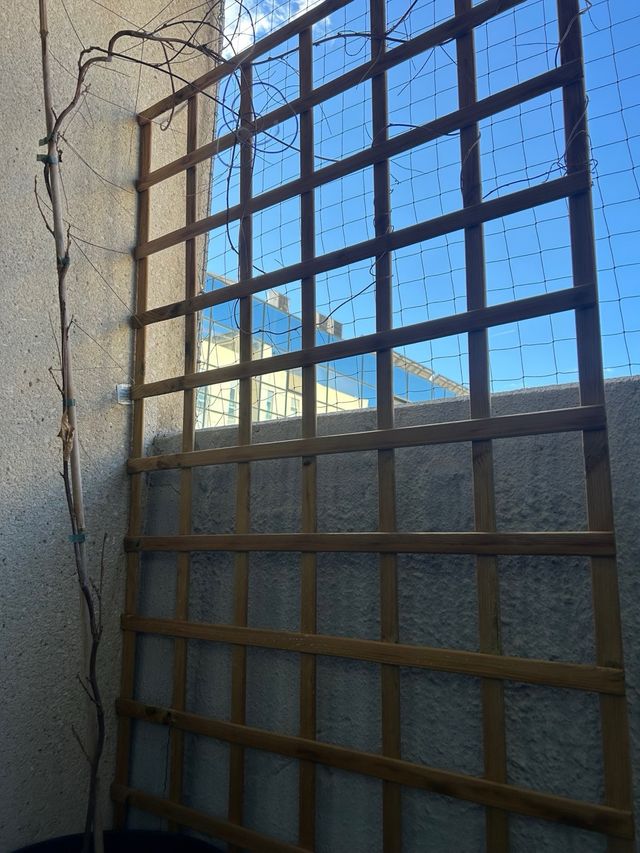 Lote de macetas + soporte planta alta