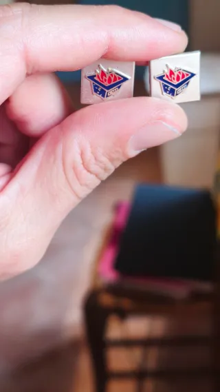 Spille bracere argento