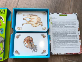 Gioco di carte Zanimatch Djeco