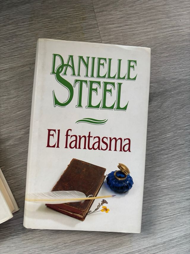 Conjunto de 2 libros de Danielle Steel