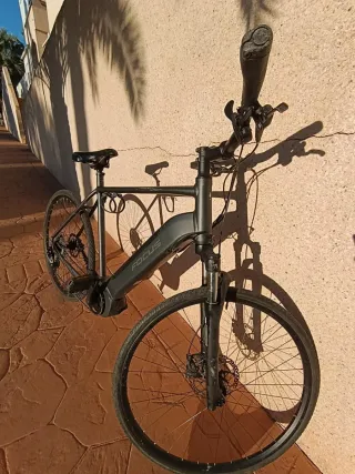 Bicicleta Eléctrica Focus Planet² 5.9 XL