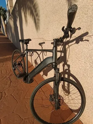 Bicicleta Eléctrica Focus Planet² 5.9 XL
