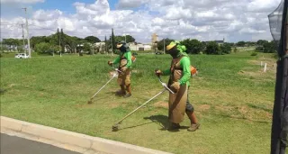 Servicio de jardinería