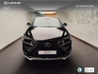 Lexus NX300h F-SPORT 2020 REF 8445