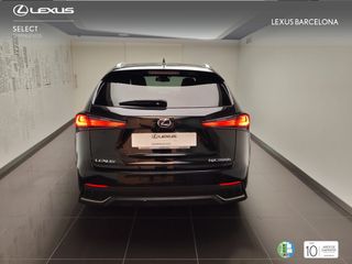 Lexus NX300h F-SPORT 2020 REF 8445