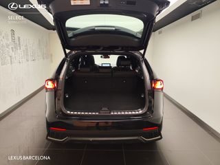 Lexus NX300h F-SPORT 2020 REF 8445