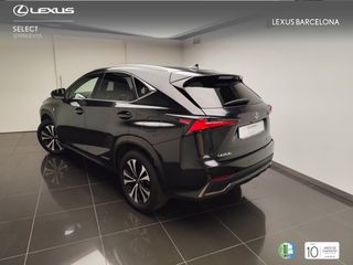 Lexus NX300h F-SPORT 2020 REF 8445