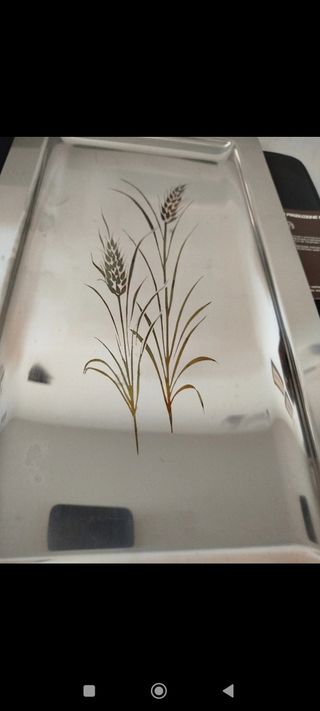 Vassoio Acciaio Inox Serie Garden anni 80