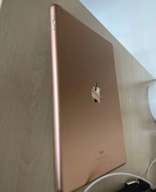 iPad 7ª gen da riparare