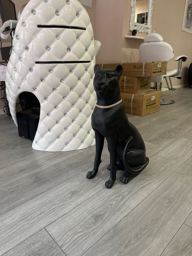 Pantera Negra Decoración