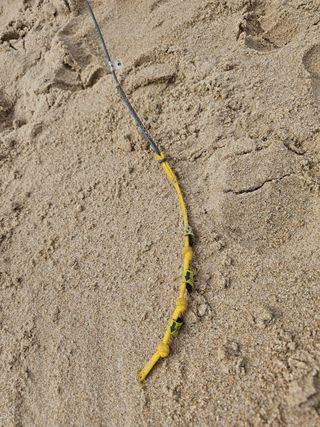 Kite Cabrinha Switchblade 12m 2018