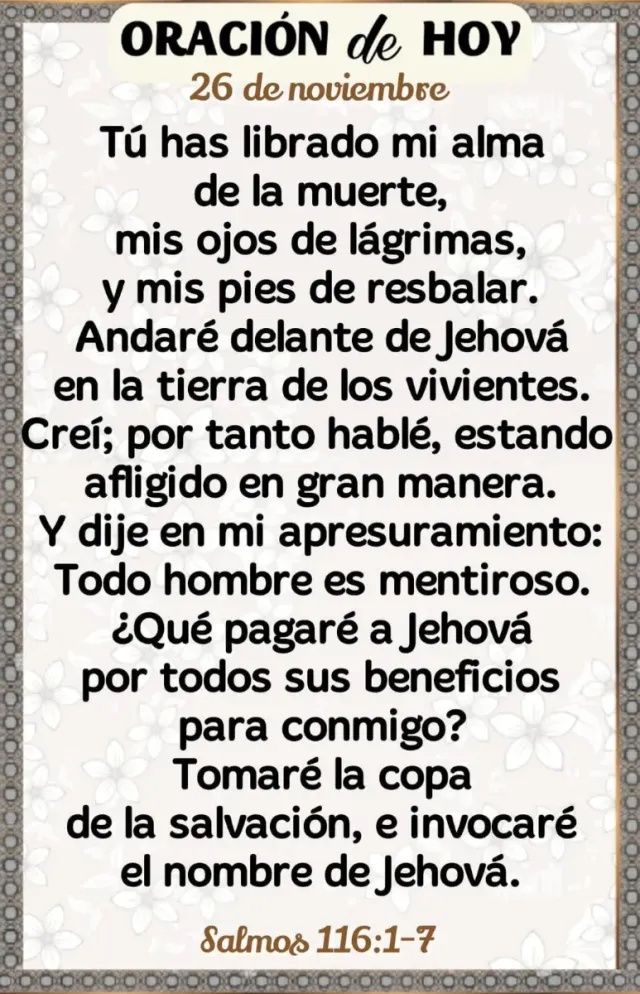 Radiador Aceite Cecotec 11 Elementos