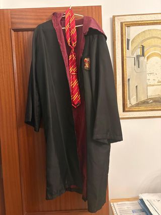 Disfraz Harry Potter Gryffindor Talla M