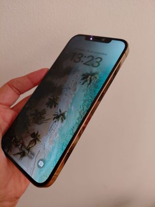 iPhone 12 Pro Max 256GB Dorado