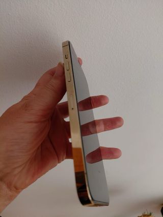 iPhone 12 Pro Max 256GB Dorado