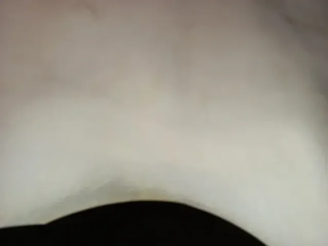 Piel para pergaminos