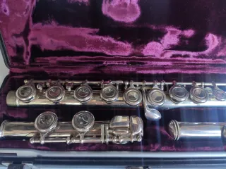 Flauta travesera Buffet Crampon Paris